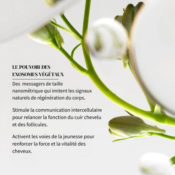 Sérum Capillaire Intense+