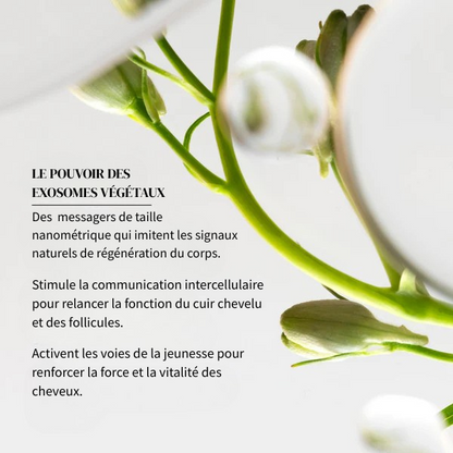 Sérum Capillaire Intense+